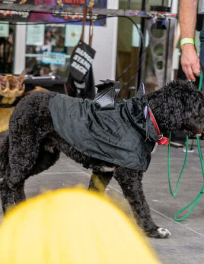 Dog Costume Monster Day Greeley 2024