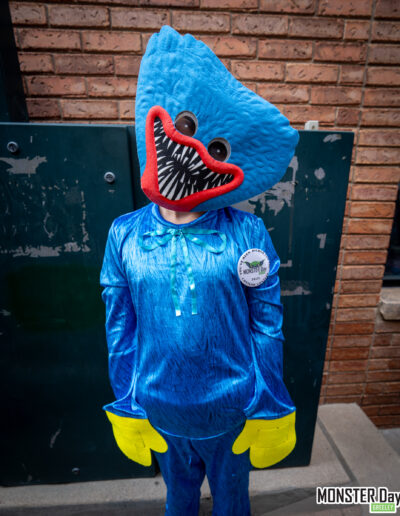Huggy Wuggy Costume